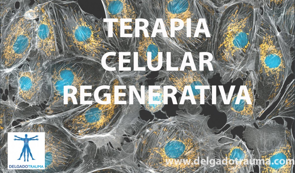 Terapia Celular Regenerativa DELGADOTRAUMA